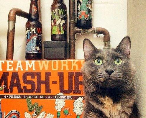 Vanouver Brewery Tours Inc. -Cats at Steamworks Brewing