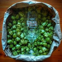 Vancouver Brewery Tours Inc. - Fresh Hops at Strange Fellows Brewing