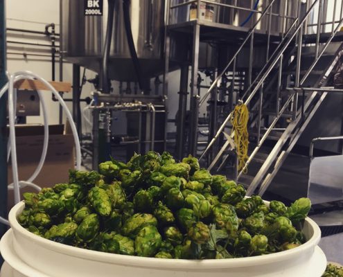 Vancouver Brewery Tours Inc. -Hops at Off the Rail Brewing