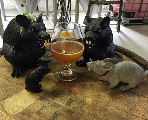 TVancouver Brewery Tours Inc. -he rats at Storm Brewing!