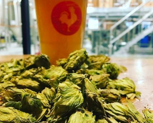 Vancouver Brewery Tours Inc. - Big Rock Brewery and Eatery - Hops