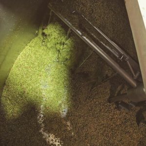 Vancouver Brewery Tours Inc. - Boombox Brewing Co. - Lots of Hops
