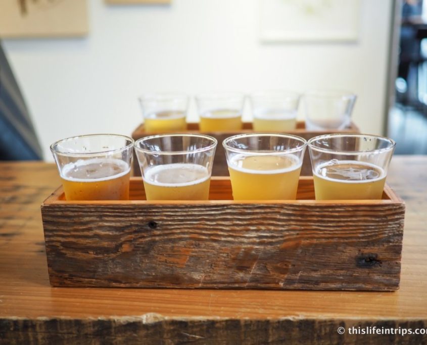 Vancouver-Brewery-Tours -Welcom-to-beer-topia-strange-fellows-brewing